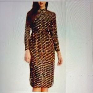 Ted Baker London Animal Print Shirt Dress 3